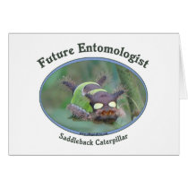 Future Entomologist Caterpillar Greeting Card