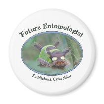 Future Entomologist Caterpillar Magnets