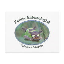 Future Entomologist Caterpillar Post Card