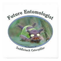 Future Entomologist Caterpillar Poster