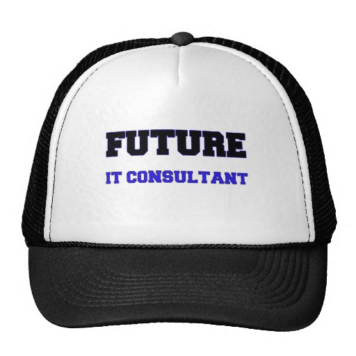  - future_it_consultant_hat-raabe45a14e654abeb77518ad78b12779_v9wfy_8byvr_512