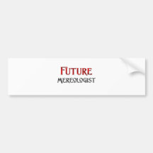 Future Mereologist Bumper Sticker