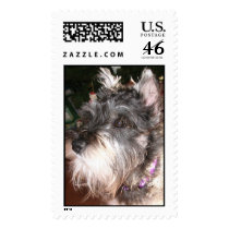 Future President postage by tracycarb Future President postage