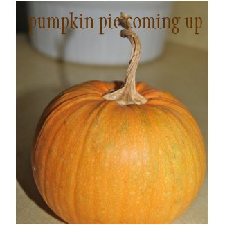 Future Pumpkin Pie apron