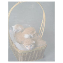 Fuzz Balls Custom Letterhead
