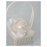 Fuzz Balls Custom Letterhead
