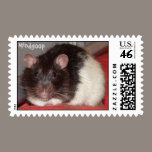 fuzzball postage stamps stamps