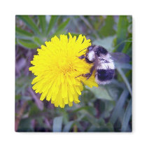 Fuzzy Bee Magnet by CreatureCreations Fuzzy Bee Magnet