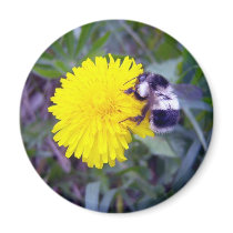 Fuzzy Bee Magnet