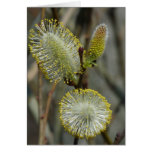 "Fuzzy Blooming Bush" Card