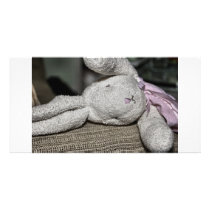 Fuzzy Bunny photo cards