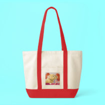 fuzzy dumbo baby bags