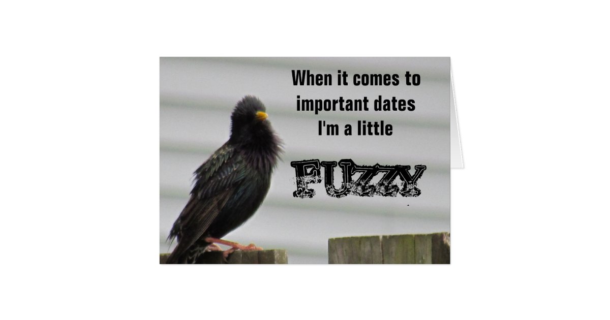 fuzzy-headed-bird-card-zazzle