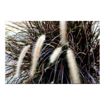 Fuzzy posters