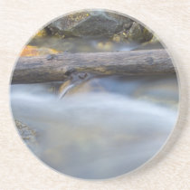 Fuzzy Water Coaster 10 coasters