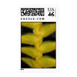 Fuzzy Yellow Heliconia