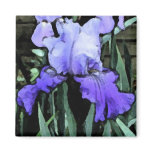 FX- Blue Iris Magnet