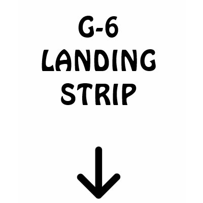 g_6_landing_strip_tshirt-p235904366092979903zvv5b_400.jpg