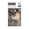 G Bear postage by sbailiff G Bear postage