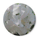 G.G. Gerbing Azalea magnets