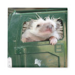 G.I. Hedgehog Magnet