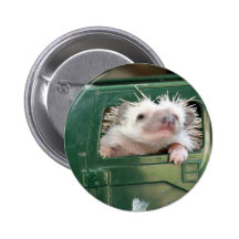 G.I. Hedgehog Pinback Buttons