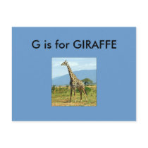 "G" is for Giraffe Alphabet Flashcard postcards by Regella "G" is for Giraffe Alphabet Flashcard postcards