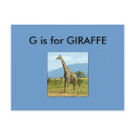 "G" is for Giraffe Alphabet Flashcard postcards