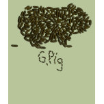 G. Pig w/Single Poop