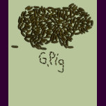 G. Pig w/Single Poop