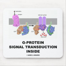 G-Protein Signal Transduction Inside Mouse Pads