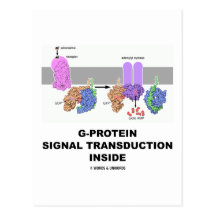 G-Protein Signal Transduction Inside Post Cards