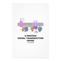 G-Protein Signal Transduction Inside stationery
