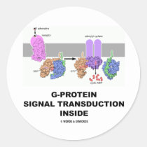 G-Protein Signal Transduction Inside Round Stickers