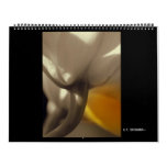 G.T. DESIGNS~altered beauties Wall Calendars