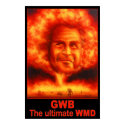 G W Bush - WMD posters