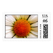 Ga Sunshine postage stamp