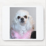 Gabby white poodle fancy dressed in Pink Mousepad
