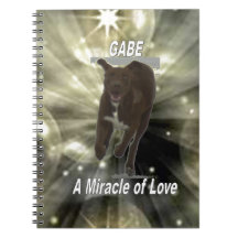 Gabe, A Miracle of Love Note Book