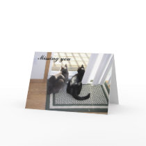 Gabe & Buster - Missing You (customizable) cards