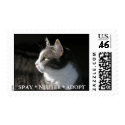 Gabe postage stamp: SPAY * NEUTER * ADOPT by RozSmith Gabe postage stamp: SPAY * NEUTER * ADOPT