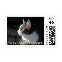 Gabe postage stamp:  SPAY * NEUTER * ADOPT
