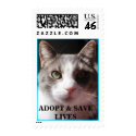 Gabe says: "ADOPT & SAVE LIVES" ! postage by RozSmith Gabe says: "ADOPT & SAVE LIVES" ! postage