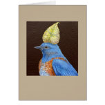 Gabe the western bluebird card