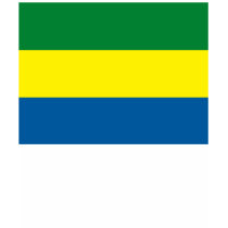 Gabon Flag T-shirt