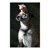 Gabriel ordered bacon for breakfast posters by hasfurrychildren Gabriel ordered bacon for breakfast posters