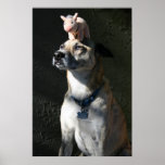 Gabriel ordered bacon for breakfast poster
