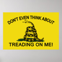 Gadsden Flag updated Poster