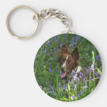 Gael Key Chain