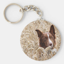 Gael Key Chains